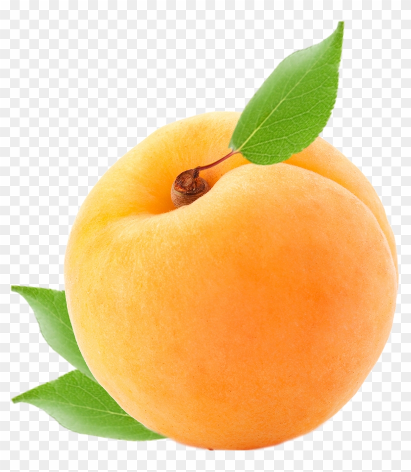 Apricot Clipart #924763