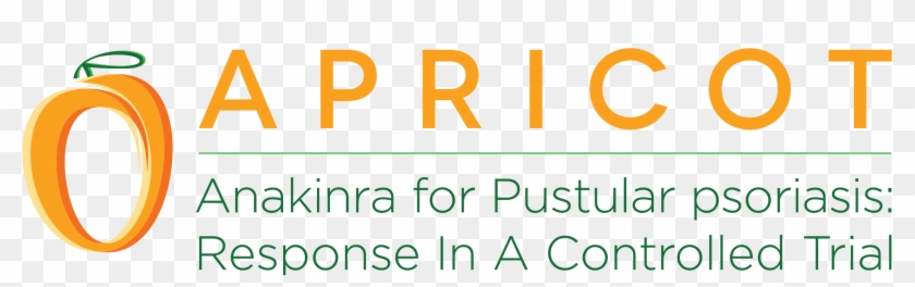 Apricot - Circle Clipart #925413