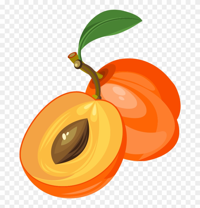 Peach Clipart Apricot - Clipart Apricot - Png Download #925448