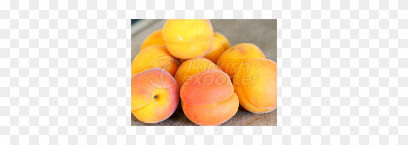 Apricot Clipart #925511