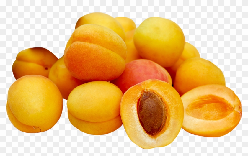 Apricot Production - Apricots Clipart
