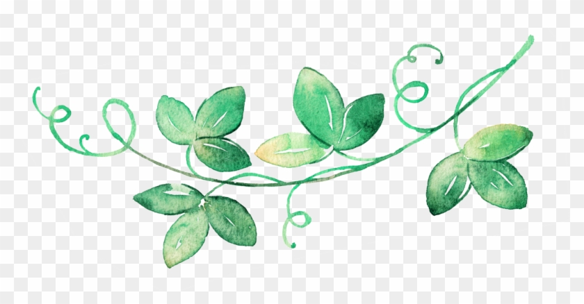 Decorative Vine Divider - Art Clipart
