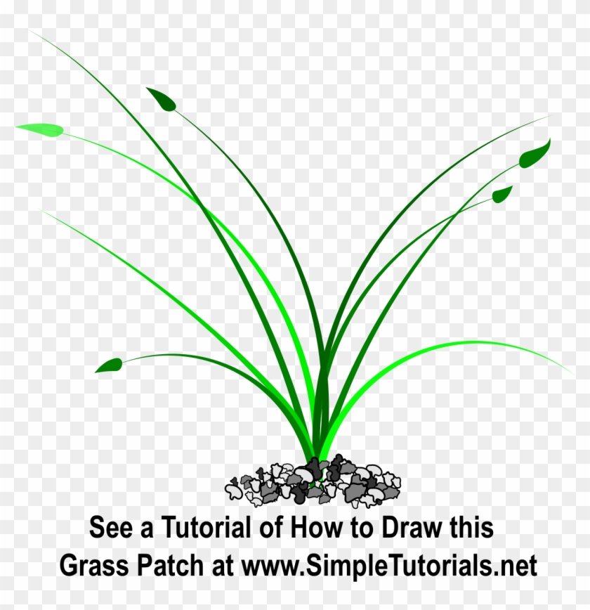 Patch Of Grass Clipart