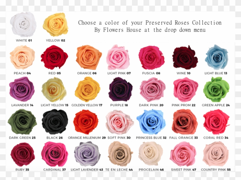 Flower House Forever Roses Small Box - Garden Roses Clipart