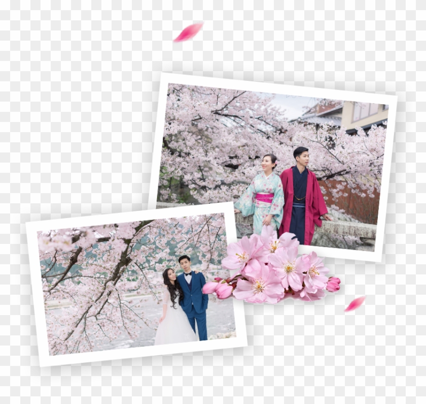 Best Cherry Blossoms Spots In Japan - Cherry Blossom Clipart #927117