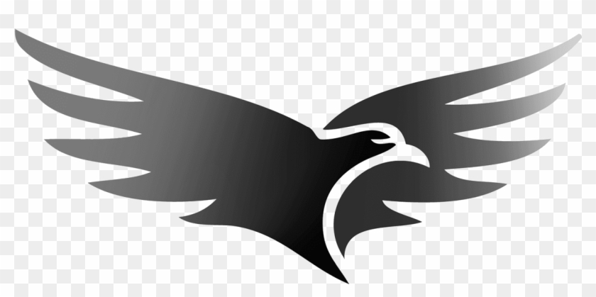Hawks Logo Png Png Shorter Hawkins Hawks Logo - Hawk Logo Png Clipart