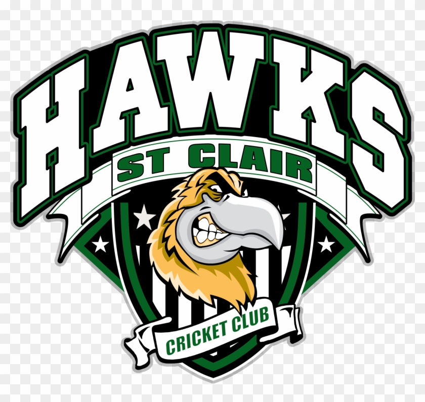 News - St Clair Hawks Cricket Club Clipart #927624