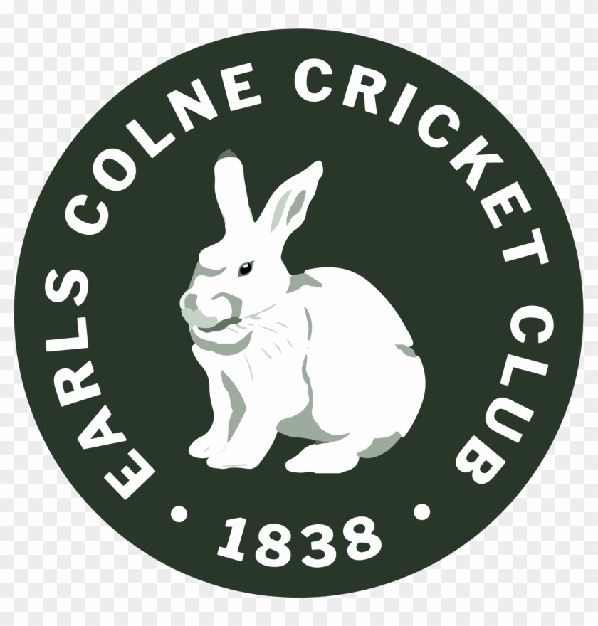 Pdf Full Size - Domestic Rabbit Clipart