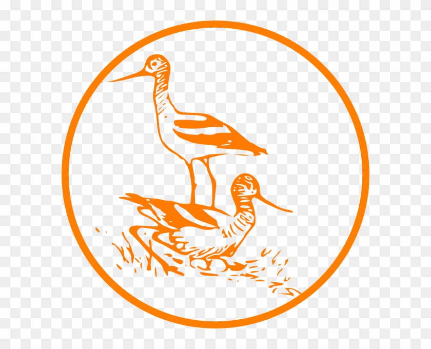 Shore Birds Svg Clip Arts 600 X 600 Px - Png Download #929484