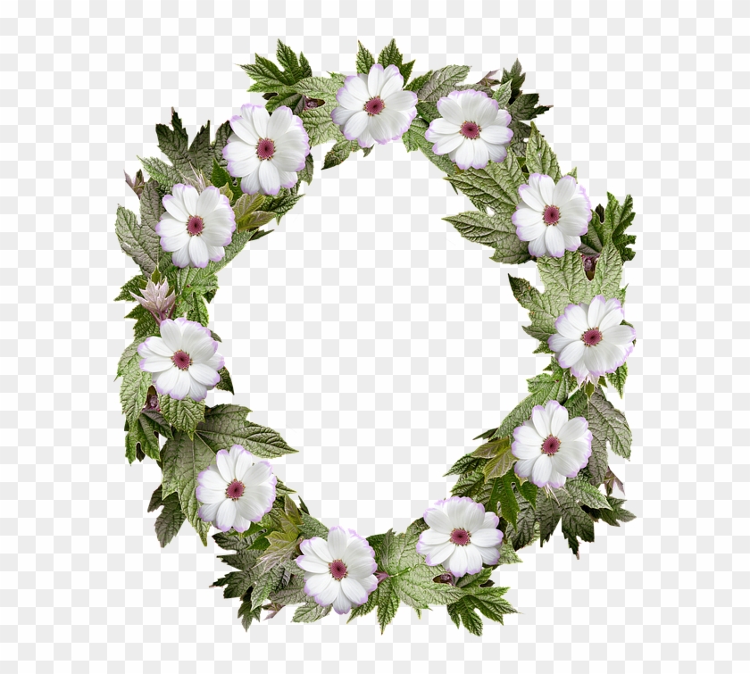 Wreath, Frame, Border, Flower, Leaf - Flower Clipart