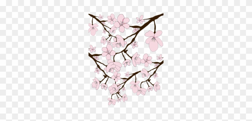 Drawn Cherry Blossom Transparent - Illustration Clipart #930284