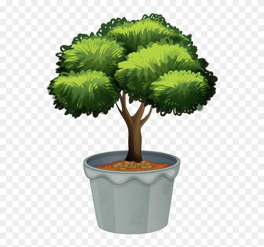 Png Library Stock Potted Plants Clipart - Tree In A Pot Clipart Transparent Png #930635