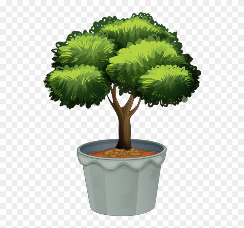 Png Library Stock Potted Plants Clipart - Tree In A Pot Clipart Transparent Png