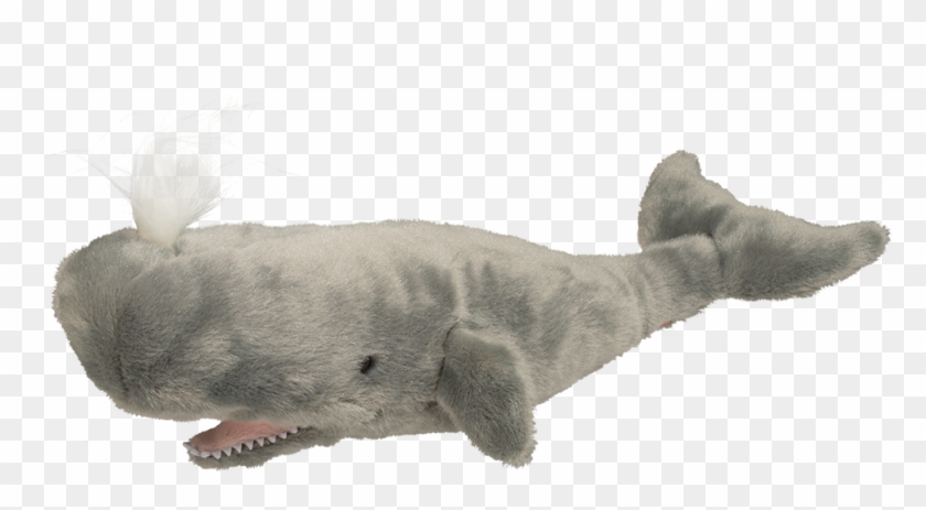Douglas Splash Sperm Whale Clipart #930922