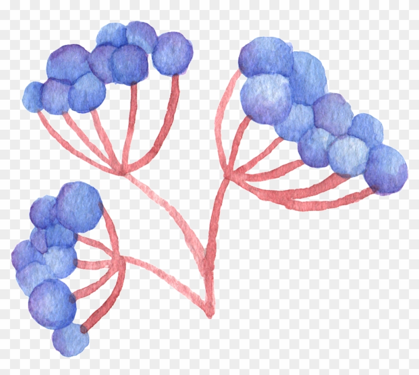 Grape Leaves Transparent Decorative - Watercolor Painting Clipart #931107