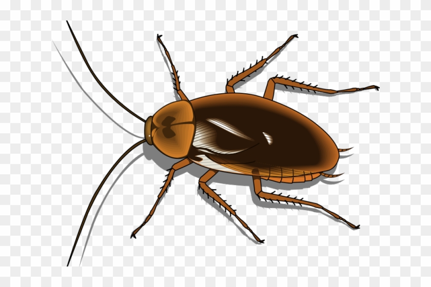 Cockroach Clipart Pest - Cockroach Clipart Png Transparent Png #932716