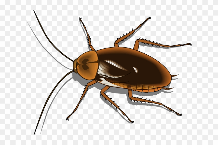 Cockroach Clipart Pest - Cockroach Clipart Png Transparent Png