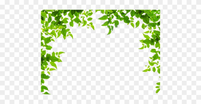 And Leaf Leaves Green Frames Borders Border Clipart - Green Leaves Border Png Transparent Png #933276