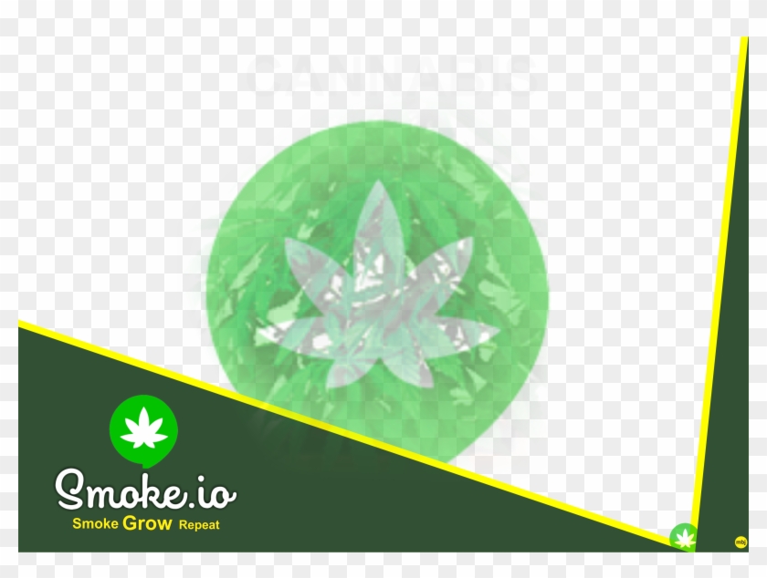 S29 - Maple Leaf Clipart #933584