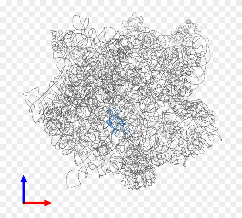 <div Class='caption-body'>pdb Entry 4adx Contains 1 - Drawing Clipart #934559