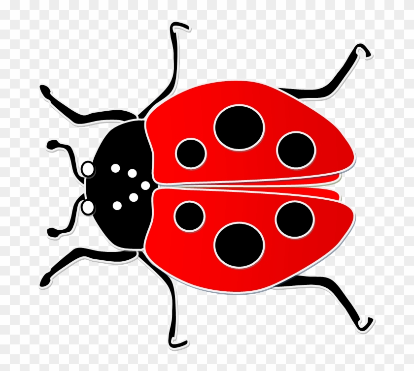 Learn The Parts Of A Ladybug - Lady Bug Clipart #934674