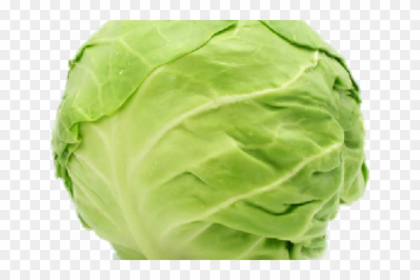 Cabbage Png Transparent Images - Капуста Пнг Clipart