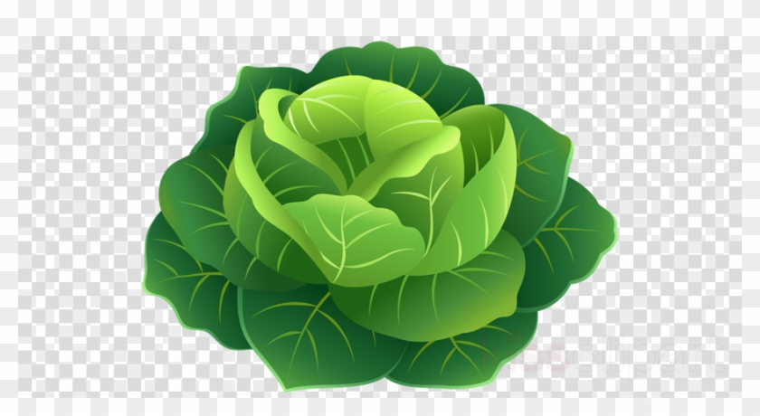 Cabbage Png Clipart Clip Art , Png Download - Planets With Alpha Channel Transparent Png #934704