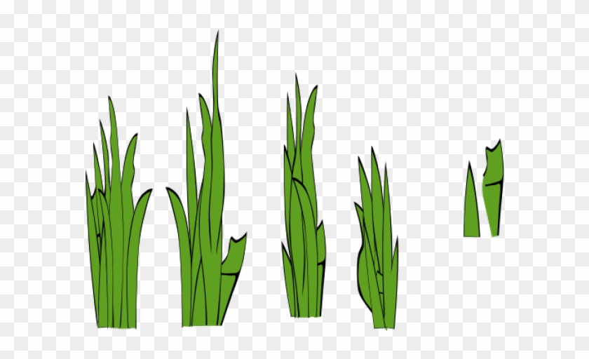 Seaweed Clipart Simple - Grass Clip Art - Png Download