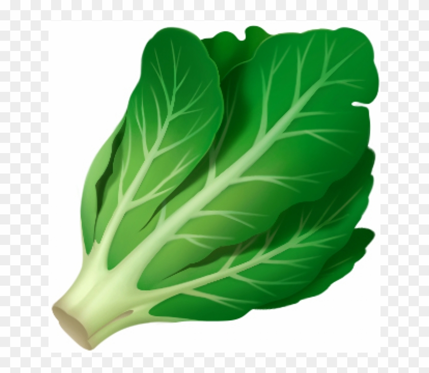 Lettuce Emoji Clipart #935046