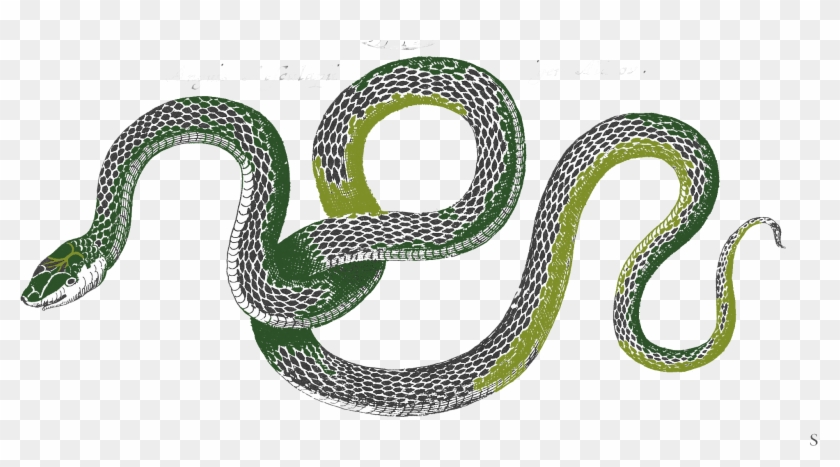 Faq The Fight Portion Your Thesis Defense - Defenses Snakes Clipart #936506