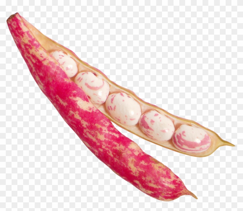 Beans Png Image - Cranberry Beans Png Clipart #938040