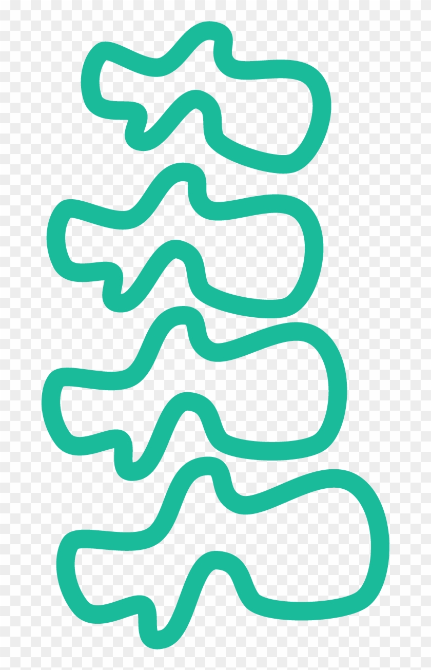 1250 X 1250 11 - Vertebral Column Clipart