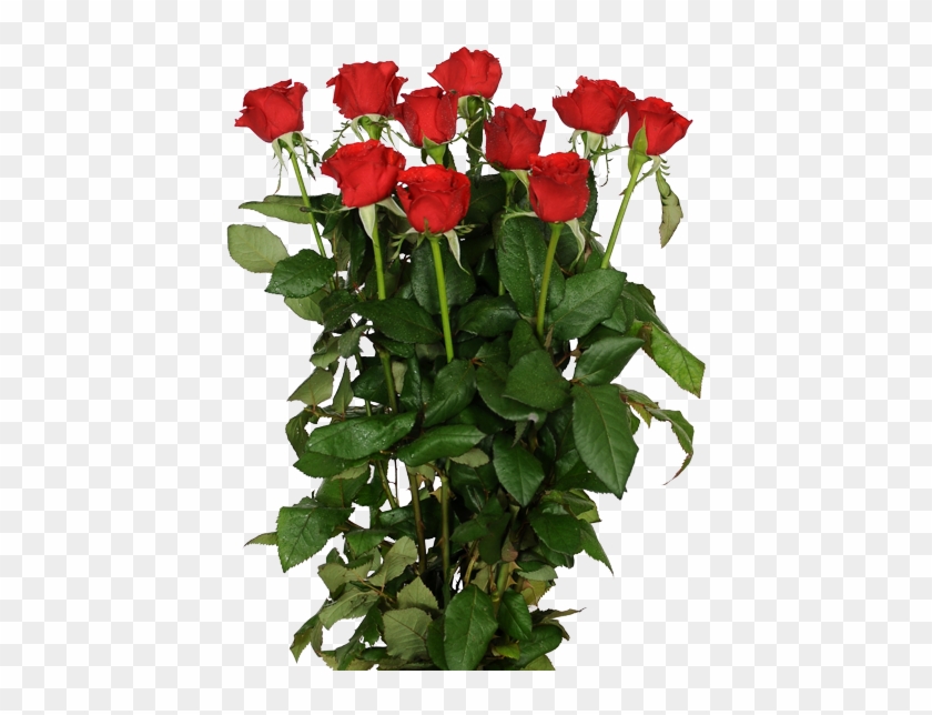 600 X 600 6 - Ramo De Flores Png Clipart