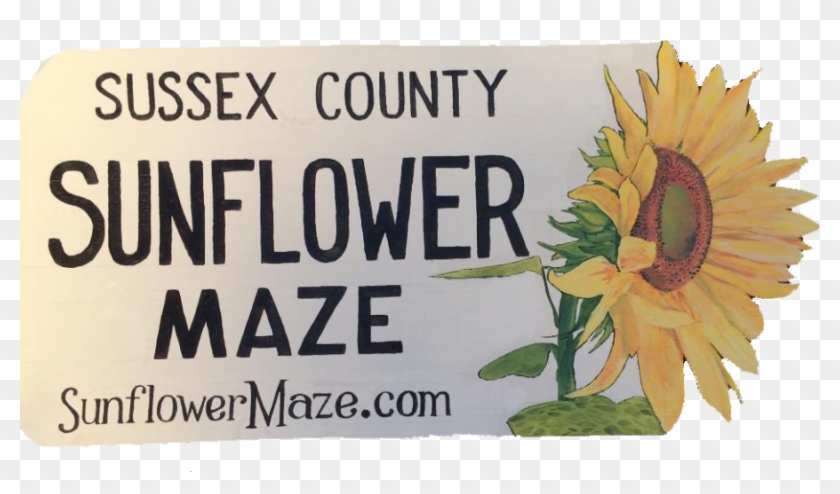 An Error Occurred - Crenate Orchid Cactus Clipart #940720