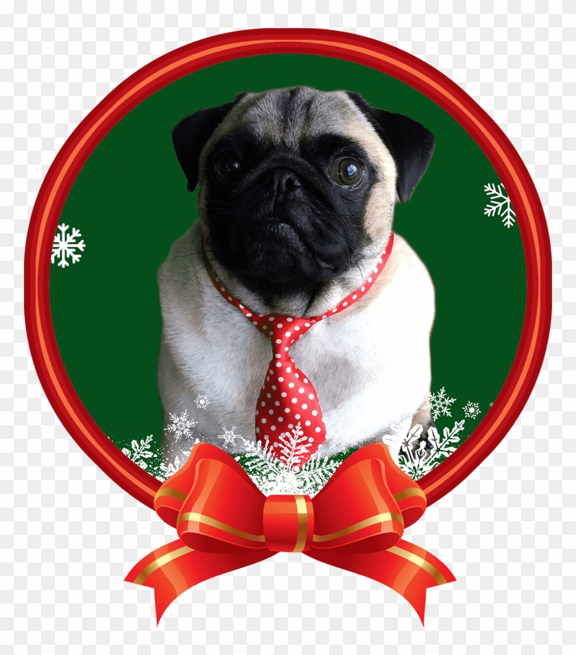 It's A Pug With A Christmas Tie Nail Art Patch Puppy - Candles Of Christmas Png Clipart