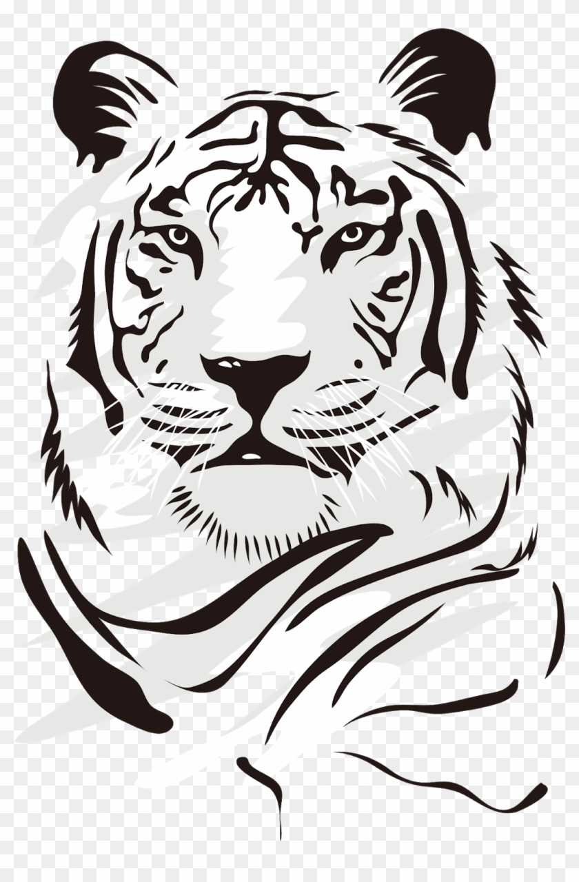 Tiger Png Vector - Dibujos De Tigres Blancos Clipart #941524