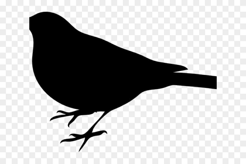 Seagull Clipart Blackbird - Bird Silhouette Clip Art - Png Download