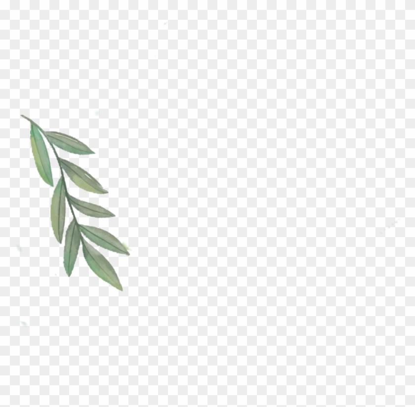Tropical Leaf Png Clipart #942269