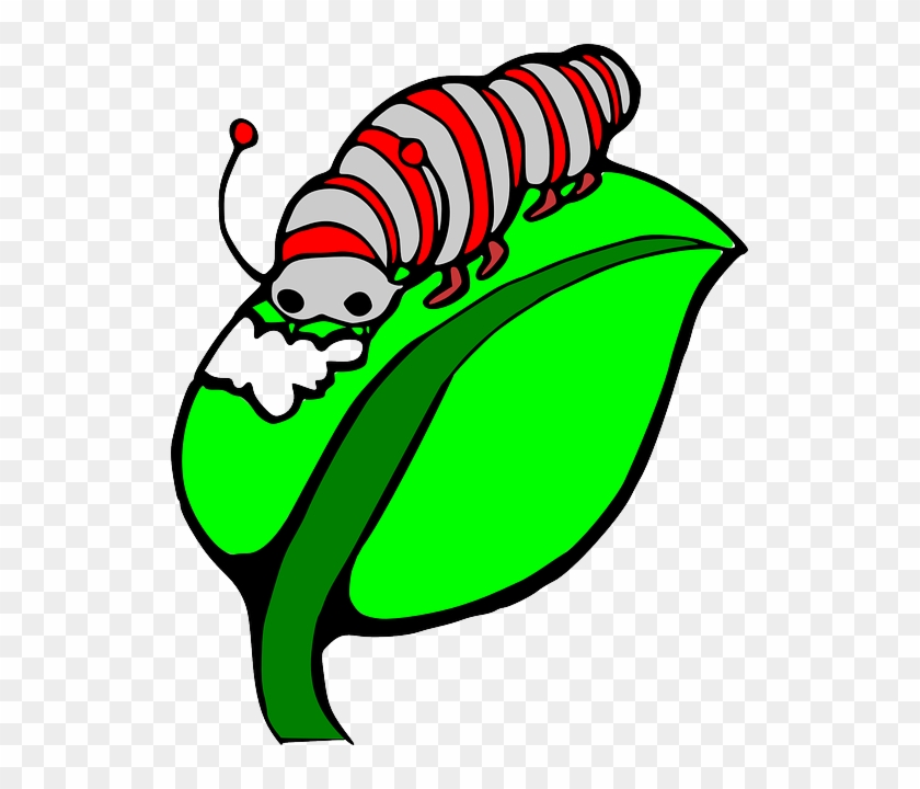 Worms Clipart Caterpillar - Silkworm Clipart - Png Download