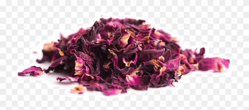 File D6723955c1 Original - Petal Clipart #943253