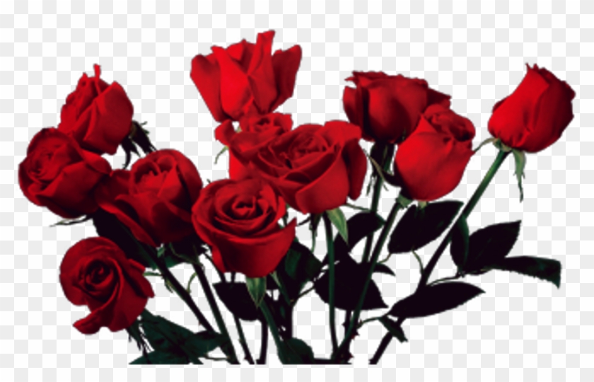 Vintage Love Tumblr Tumblrgirl Rosas Flowers - Red Roses Aesthetic Png Clipart