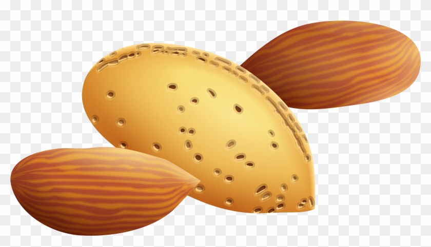 Almonds Png Clipart Picture - Almonds Clipart Png Transparent Png #943355