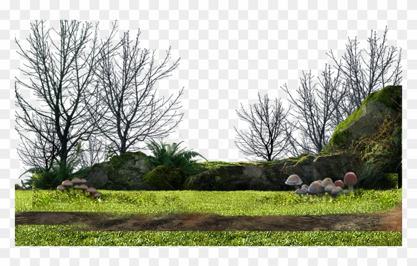 Mg 07 - Tree Clipart