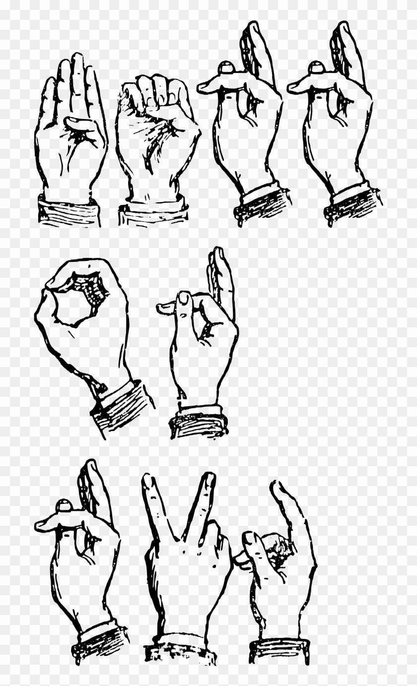 We At Libre Graphics Magazine Have A Thing For Open - Cartoon Clipart