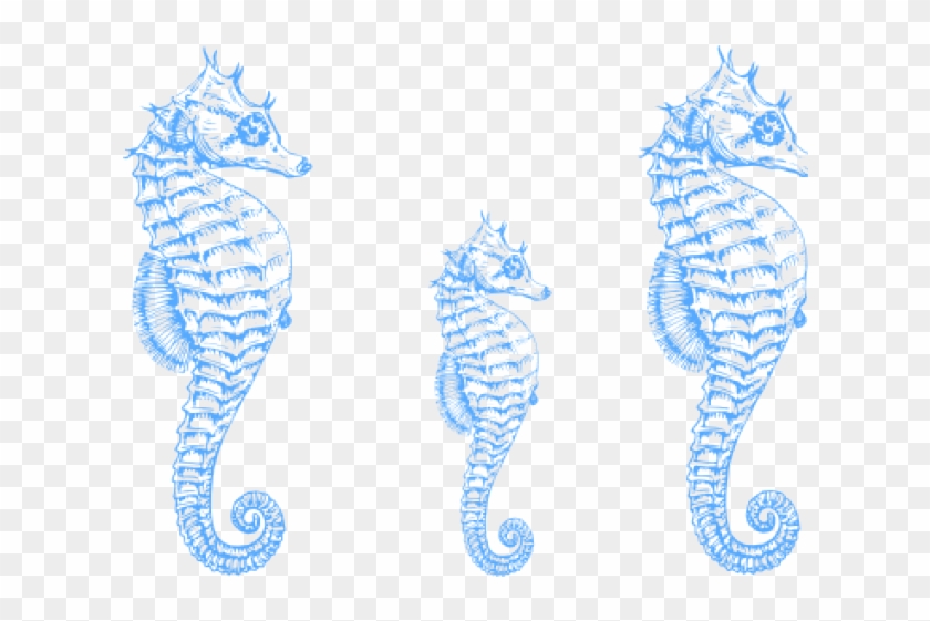 Turquoise Seahorse Clipart - Png Download #945941