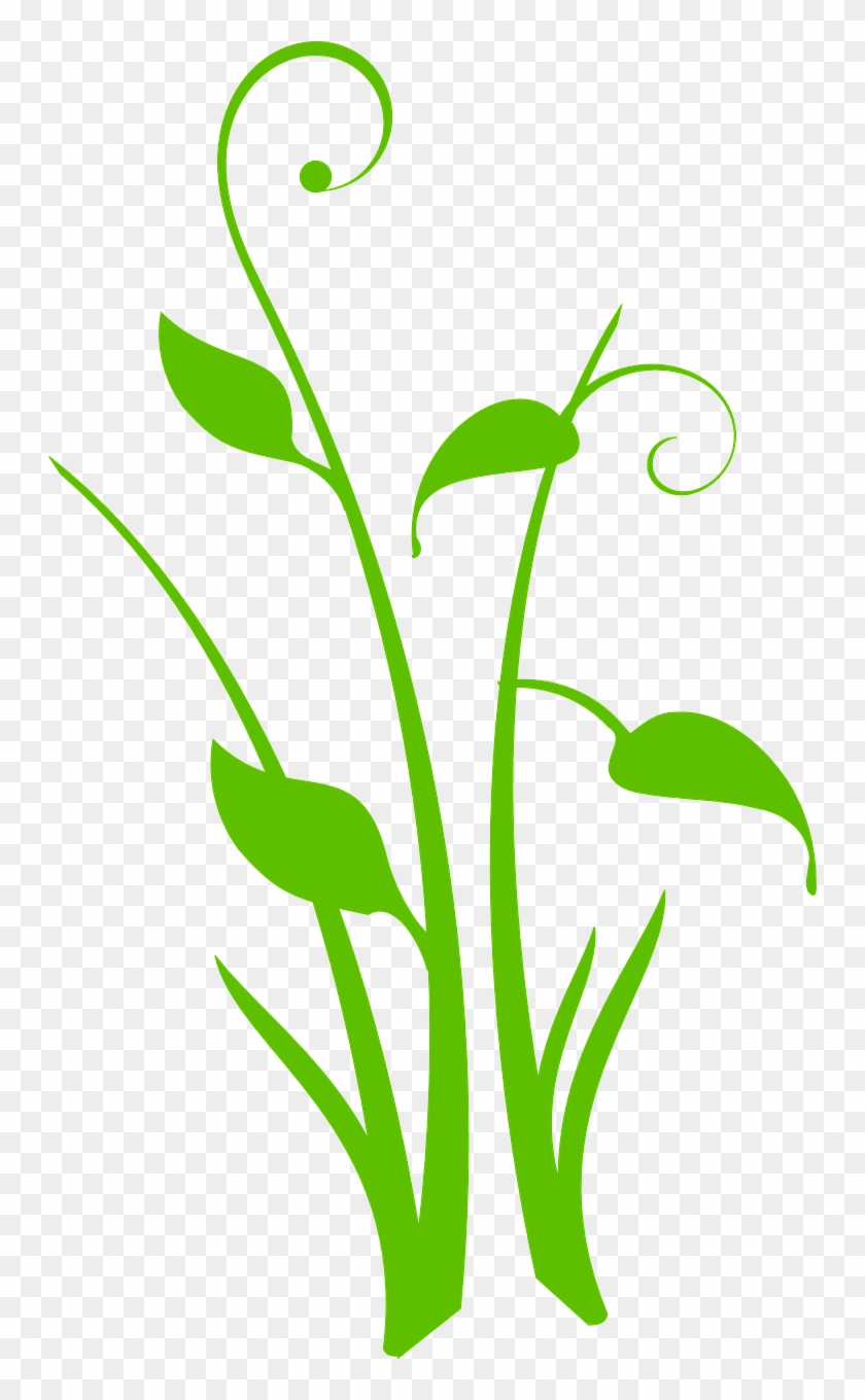 Vector - Plantas Diseño Png Clipart