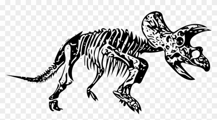 Triceratops Png - Triceratop Fossils Drawing Clipart