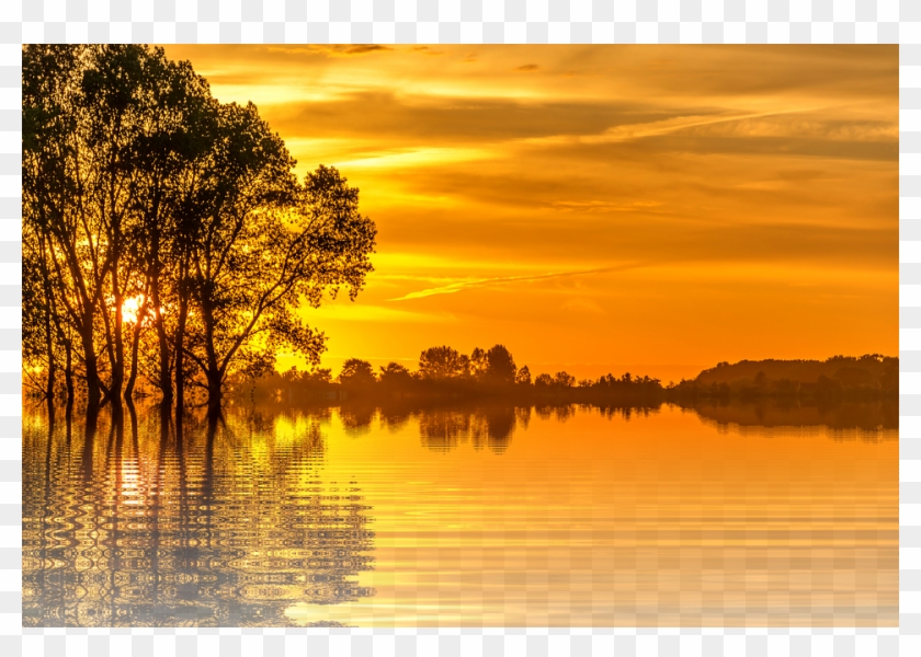 Framed Art For Your Wall Isolated Holiday Nature Tree - Png Sunset Clipart #947235