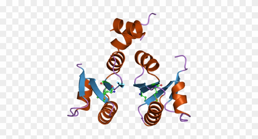 Illustration Clipart