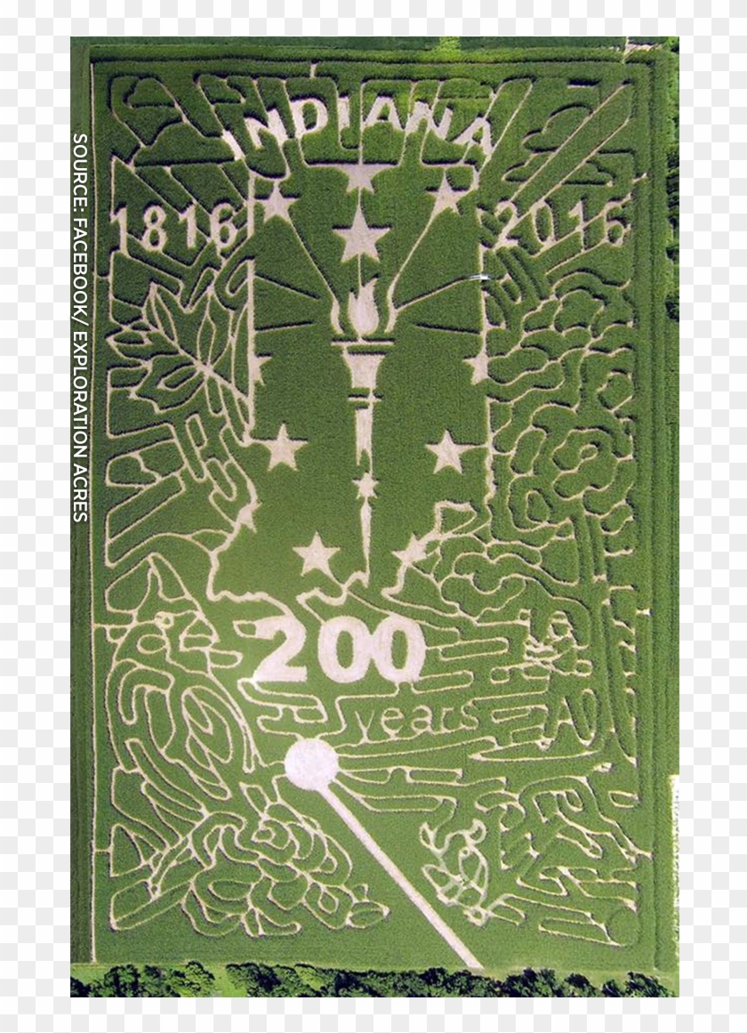 Your Morning On Twitter - Grass Clipart #948078